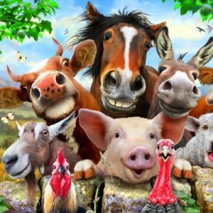 Meet your Posher, Sunshine